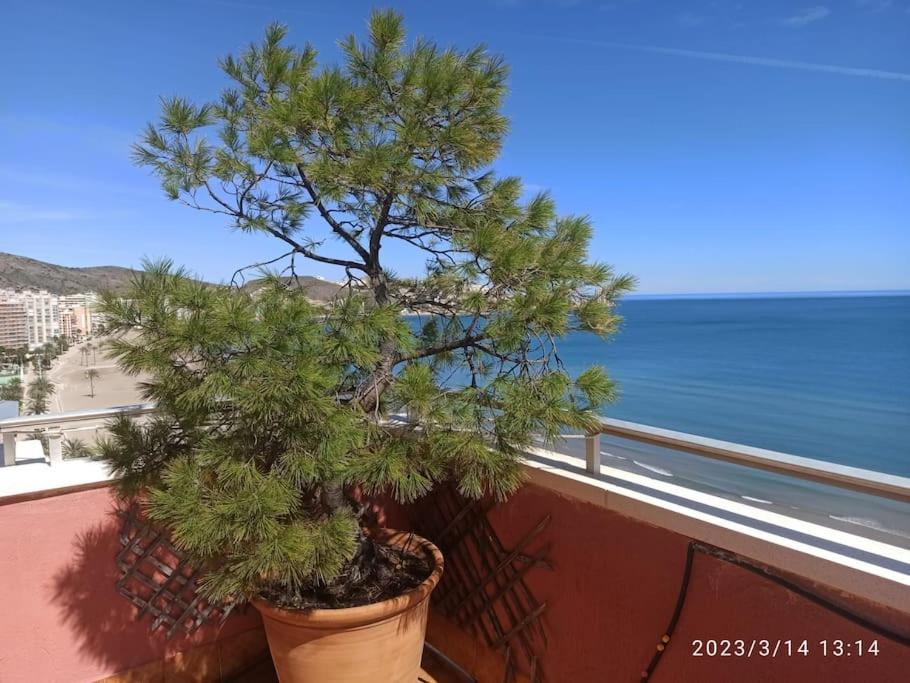 Espectacular Terraza Y Vistas En 1A Linea De Playa Apartment Cullera Exterior photo