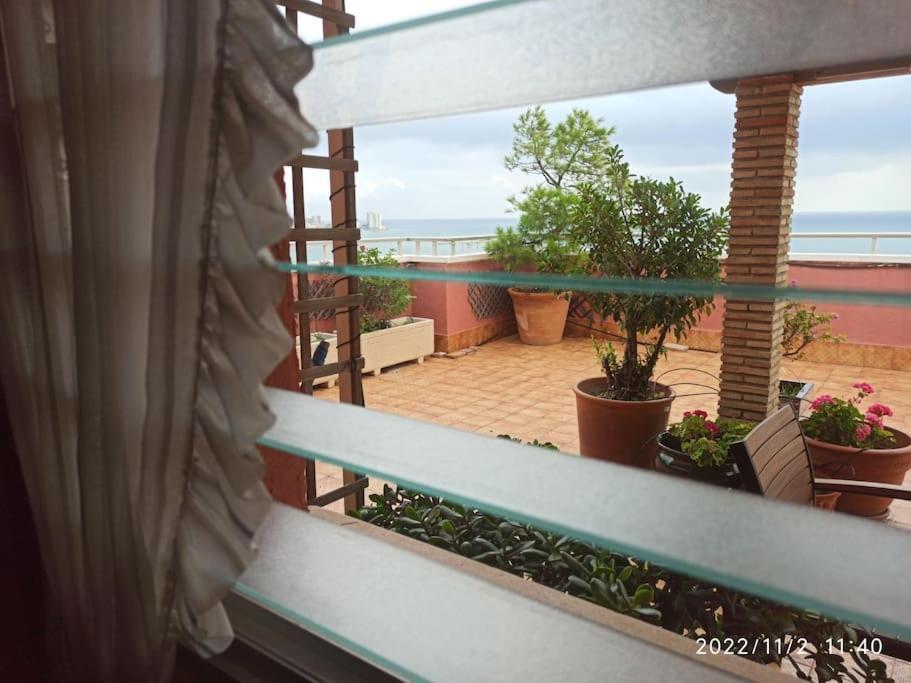 Espectacular Terraza Y Vistas En 1A Linea De Playa Apartment Cullera Exterior photo